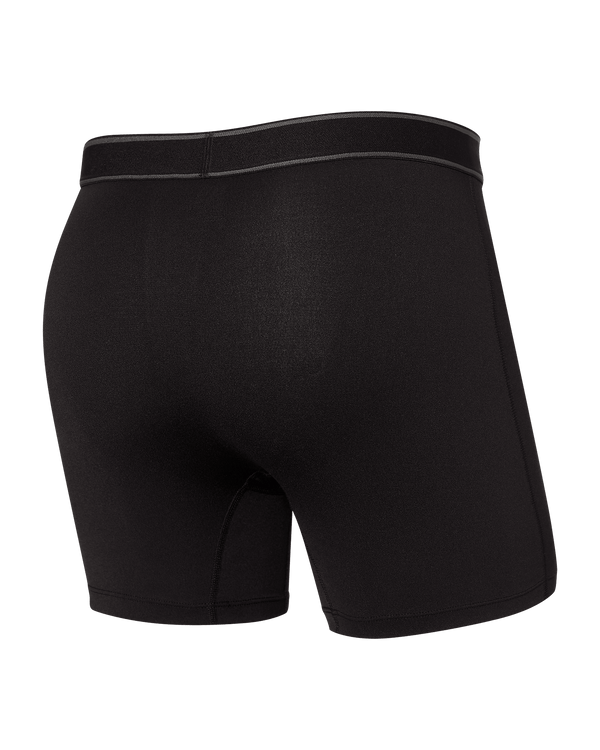 Back of Daytripper Boxer Brief Fly in Black