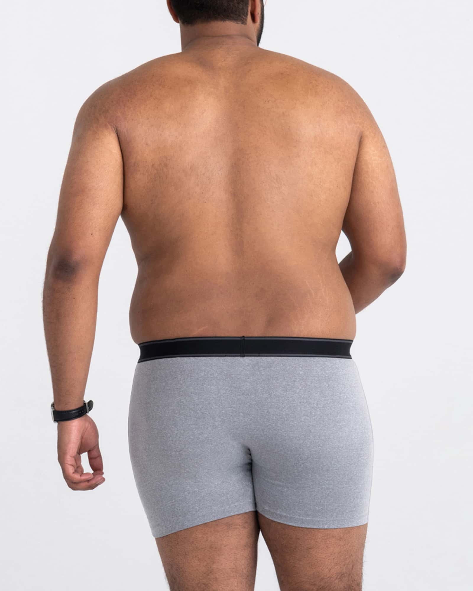 Back - Model wearing Daytripper Boxer Brief Fly in Grey Heather