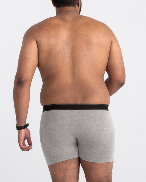 Back - Model wearing Daytripper Boxer Brief Fly in Grey Heather