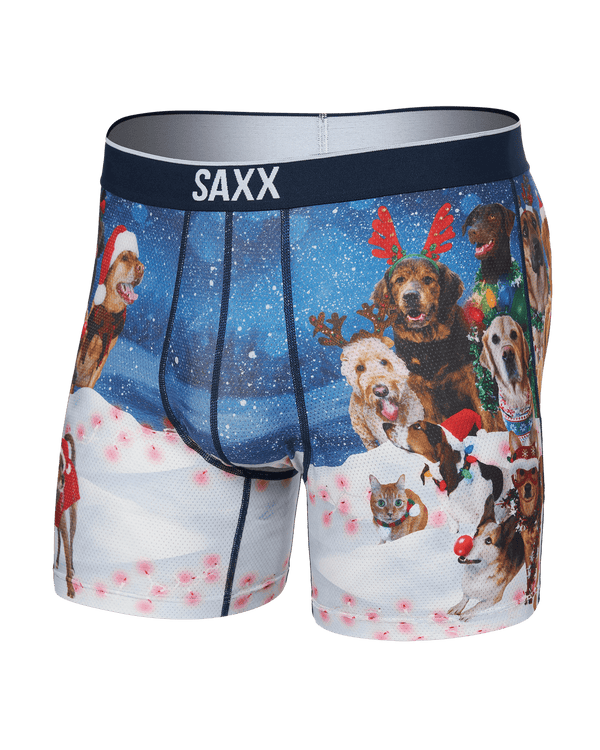 Front of Volt Breathable Mesh Boxer Brief in Dogs Of Saxxmas-Blue