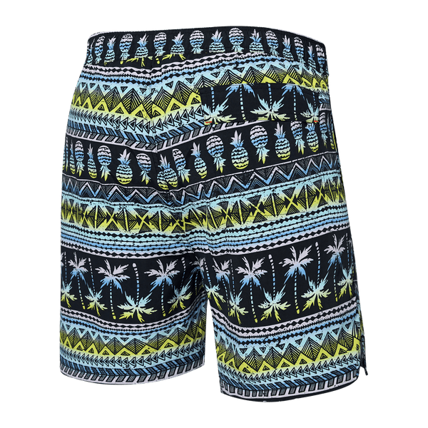 Back of Go Coastal 2N1 Swim Volley 5" Inseam in Pina Stripe- Black Multi